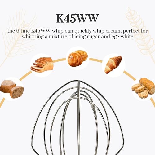 Stainless Steel Dough Hook Wire Whip Set