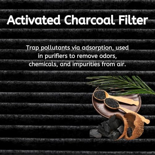 Nispira Charcoal Filter Replacement 2 Packs